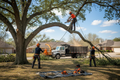 Tree removal